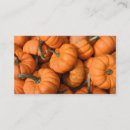 Search for vegetable patch Orange