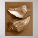 Search for sensual posters Photography