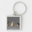 Search for baby chicken key rings Full length