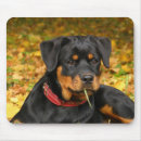 Search for rottweiller mousepads Brown