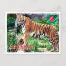 Search for bangladesh postcards Souvenir