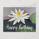 Search for pond photography Lotus