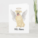 Search for pitbuls cards Dogs