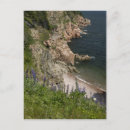 Search for nova scotia postcards Scenic