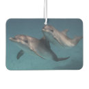 Search for dolphin car air fresheners Nature