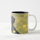 Search for loyalty mugs Nature