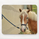 Search for mane mousepads Pony