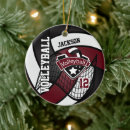 Search for volleyball christmas tree decorations Sports