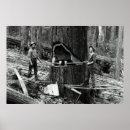 Search for sawing art Tree