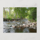 Search for mallards postcards Landscape