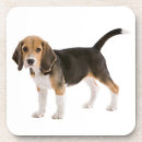Search for adopt coasters Dog lover