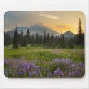 Search for gary mousepads North america