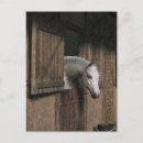Search for horse stable postcards Pony