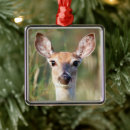 Search for whitetail deer christmas tree decorations Wildlife