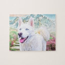 Search for white siberian husky Huskies
