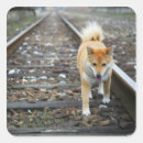 Search for tracking dog stickers Cute