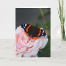 Search for butterfly christmas cards Insect