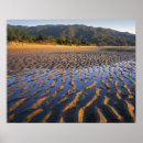 Search for abel tasman posters Environment