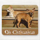 Search for chihuahua mousepads Cute