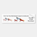 Search for mustang bumper stickers Animals