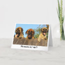 Search for giant birthday cards Mastiff