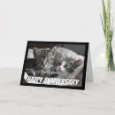 Search for cat couple anniversary cards Pet