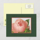 Search for blank postcards Vintage