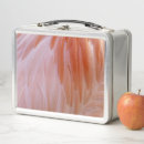 Search for flamingo lunch boxes Nature