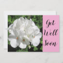Search for get well photography Beautiful