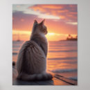 Search for catlovers posters Catposter