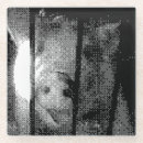 Search for baconeer barware Pig