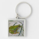 Search for tree frogs key rings Pacific tree frog