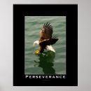 Search for perseverance posters Eagle