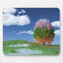 Search for solstice mousepads Summer