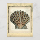 Search for rustic nautical postcards Beach