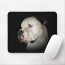Search for black bull electronics Canine