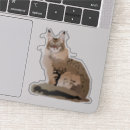 Search for friendly cat stickers Cute