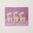 Search for maltese dog puzzles Cute
