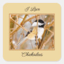 Search for chickadee stickers Bird