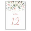 Search for blush and sage green table cards Floral