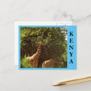 Search for eats postcards Wild