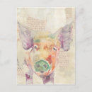 Search for farm pig postcards Animals