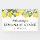Search for lemonade stand Kids