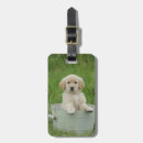 Search for basin accessories Puppy