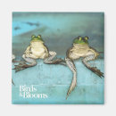 Search for sitting Frog