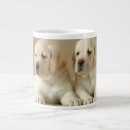 Search for sleepy dog mugs Labrador retriever