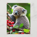 Search for cute koala postcards Bear