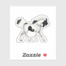 Search for pinto horse stickers Pony