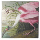 Search for audubon tiles Birds of america