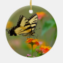 Search for insect christmas tree decorations Summer